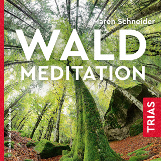 Maren Schneider: Waldmeditation