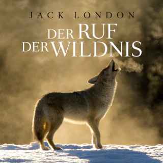 Jack London, Thomas Tippner: Der Ruf der Wildnis