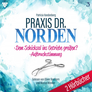 Patricia Vandenberg: Praxis Dr. Norden 2 Hörbücher Nr. 3 - Arztroman