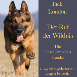 Jack London: Jack London: Der Ruf der Wildnis. Die Geschichte eines Hundes