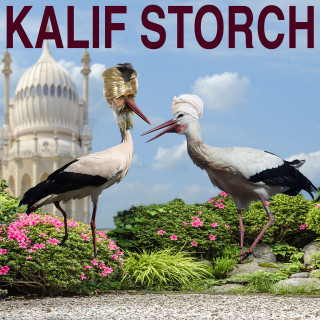 Wilhelm Hauff: Kalif Storch