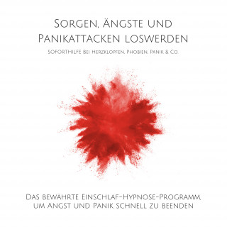Patrick Lynen: Sorgen, Ängste und Panikattacken loswerden: Soforthilfe bei Herzklopfen, Phobien, Panik & Co.