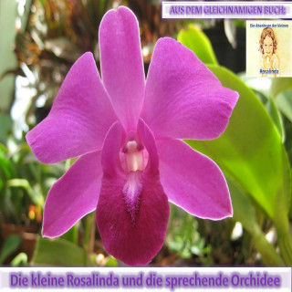 Monika Schuberth: Rosalinda und die sprechende Orchidee