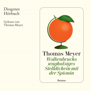 Thomas Meyer: Wolkenbruchs waghalsiges Stelldichein mit der Spionin