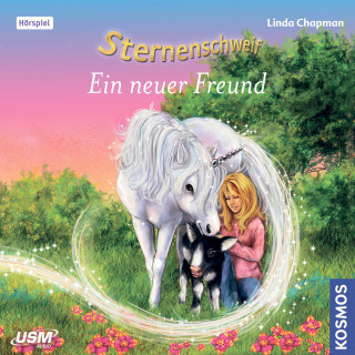 Linda Chapman: Sternenschweif Folge 42 - Ein neuer Freund