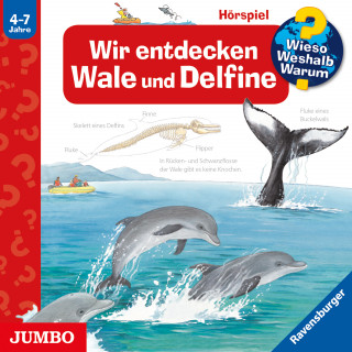 Doris Rübel: Wir entdecken Wale und Delfine [Wieso? Weshalb? Warum? Folge 41]
