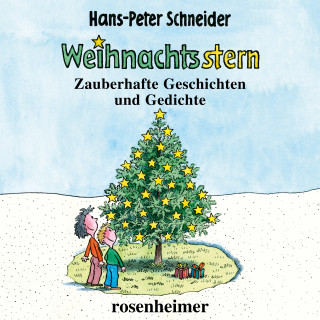 Hans-Peter Schneider: Weihnachtsstern