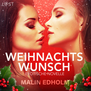 Malin Edholm: Weihnachtswunsch: Erotische Novelle