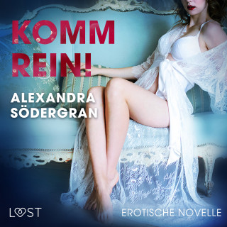 Alexandra Södergran: Komm rein! Erotische Novelle