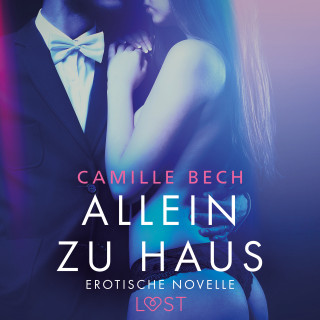 Camille Bech: Allein zu Haus - Erotische Novelle