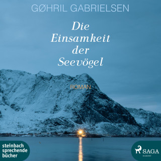 Gøhril Gabrielsen: Die Einsamkeit der Seevögel (Ungekürzt)