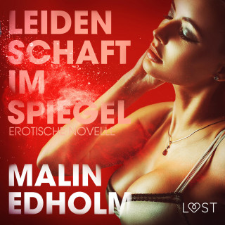 Malin Edholm: Leidenschaft im Spiegel: Erotische Novelle