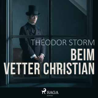 Theodor Storm: Beim Vetter Christian (Ungekürzt)