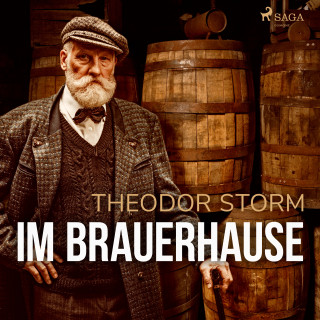Theodor Storm: Im Brauerhause