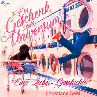 Christiane Gohl: Ein Geschenk vom Universum - Eine Liebes-Geschichte (Gekürzt)