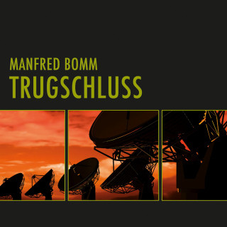 Manfred Bomm: Trugschluss (Ungekürzt)