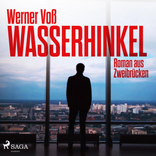 Werner Voß: Wasserhinkel - Roman aus Zweibrücken (Ungekürzt)