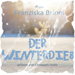 Franziska Brioni: Der Winterdieb