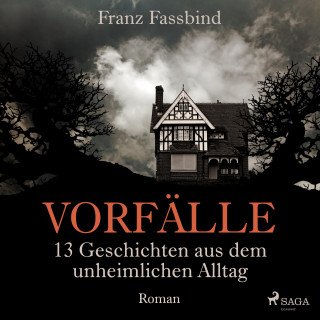 Franz Fassbind: Vorfälle. 13 Geschichten aus dem unheimlichen Alltag (Ungekürzt)