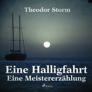 Theodor Storm: Eine Halligfahrt - Eine Meistererzählung (Ungekürzt)