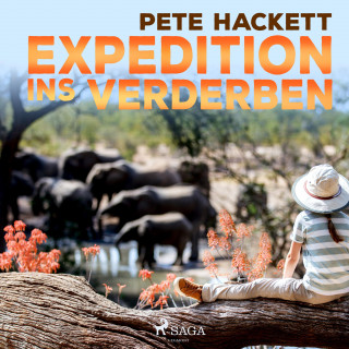 Pete Hackett: Expedition ins Verderben