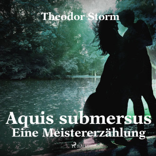 Theodor Storm: Aquis submersus - Eine Meistererzählung (Ungekürzt)