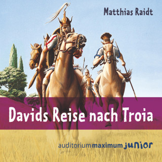 Matthias Raidt: Davids Reise nach Troia (Ungekürzt)