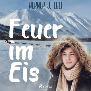 Werner J. Egli: Feuer im Eis