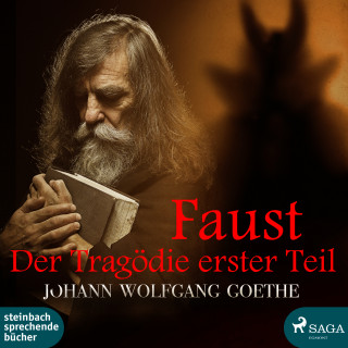 Johann Wolfgang Von Goethe: Faust - Der Tragödie erster Teil