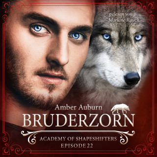 Amber Auburn: Bruderzorn, Episode 22 - Fantasy-Serie