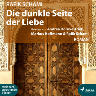 Rafik Schami: Die dunkle Seite der Liebe