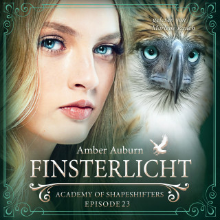 Amber Auburn: Finsterlicht, Episode 23 - Fantasy-Serie