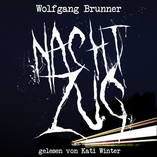 Wolfgang Brunner: Nachtzug