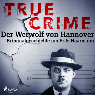 Franziska Steinhauer: True Crime: Der Werwolf von Hannover - Kriminalgeschichte um Fritz Haarmann