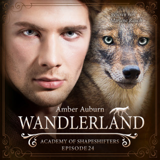 Amber Auburn: Wandlerland, Episode 24 - Fantasy-Serie