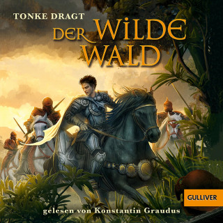 Tonke Dragt: Der Wilde Wald