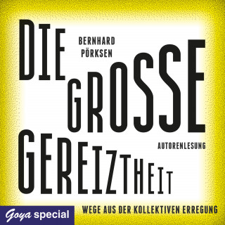 Bernhard Pörksen: Die große Gereiztheit. Wege aus der kollektiven Erregung