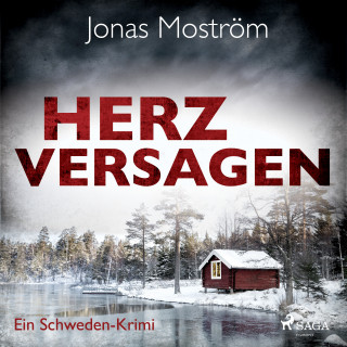 Jonas Moström: Herzversagen - Ein Schweden-Krimi