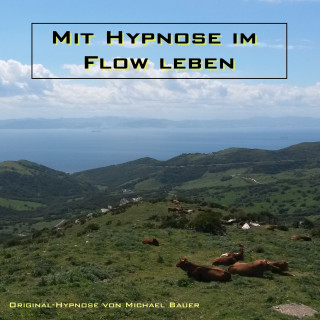 Michael Bauer: Mit Hypnose im Flow leben