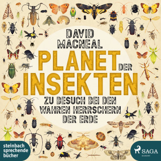 David Macneal: Planet der Insekten: Zu Besuch bei den wahren Herrschern der Erde