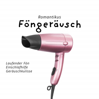 Roland Pink: Föngeräusch