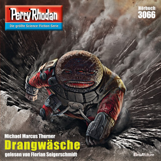 Michael Marcus Thurner: Perry Rhodan 3066: Drangwäsche