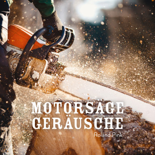 Roland Pink: Motorsäge Geräusche