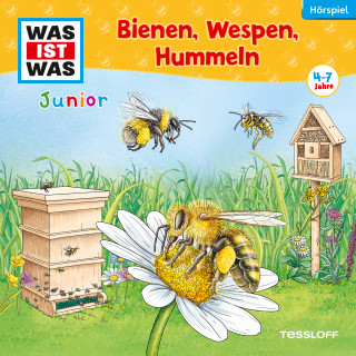 Daniela Wakonigg: WAS IST WAS Junior Hörspiel. Bienen, Wespen, Hummeln