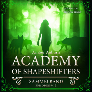 Amber Auburn: Academy of Shapeshifters - Sammelband 3