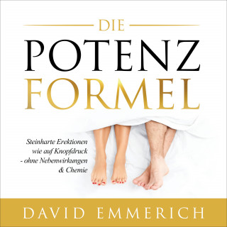 David Emmerich: Die PotenzFormel