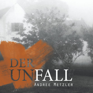 Andree Metzler: Der Unfall