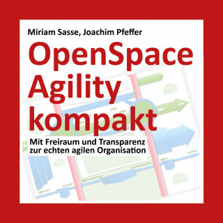 Miriam Sasse, Joachim Pfeffer: OpenSpace Agility kompakt