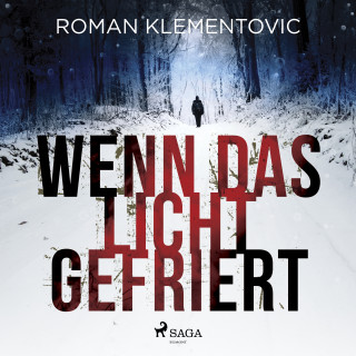 Roman Klementovic: Wenn das Licht gefriert