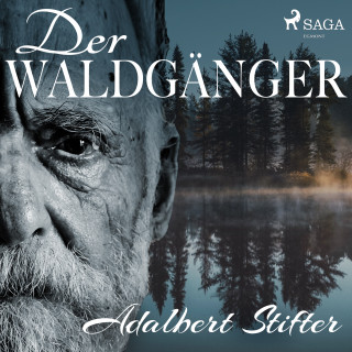Adalbert Stifter: Der Waldgänger